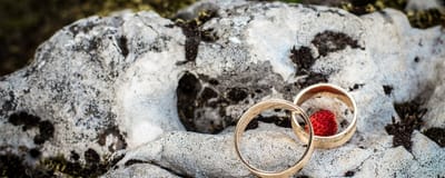 Tungsten Rings Review image