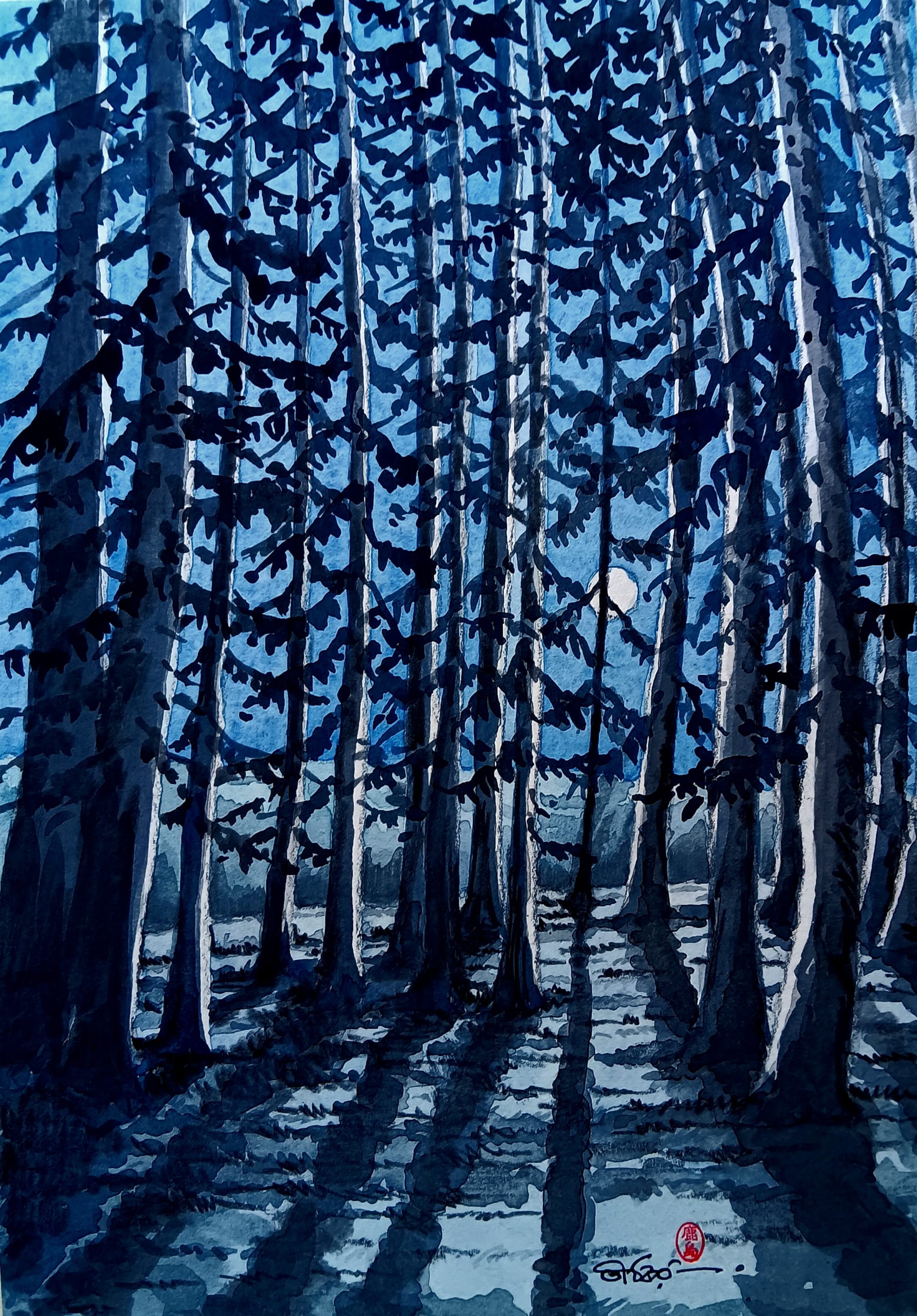 Night Forest