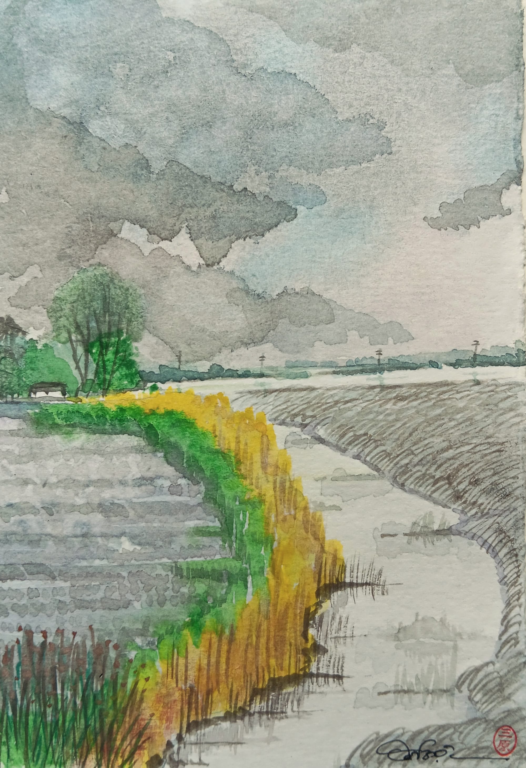 Wetlands