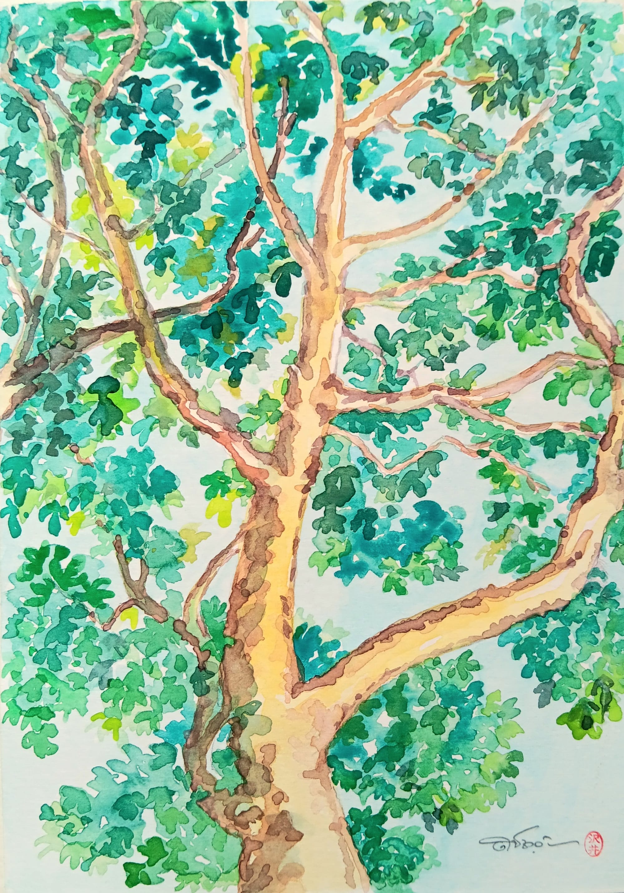 Summer Leaves