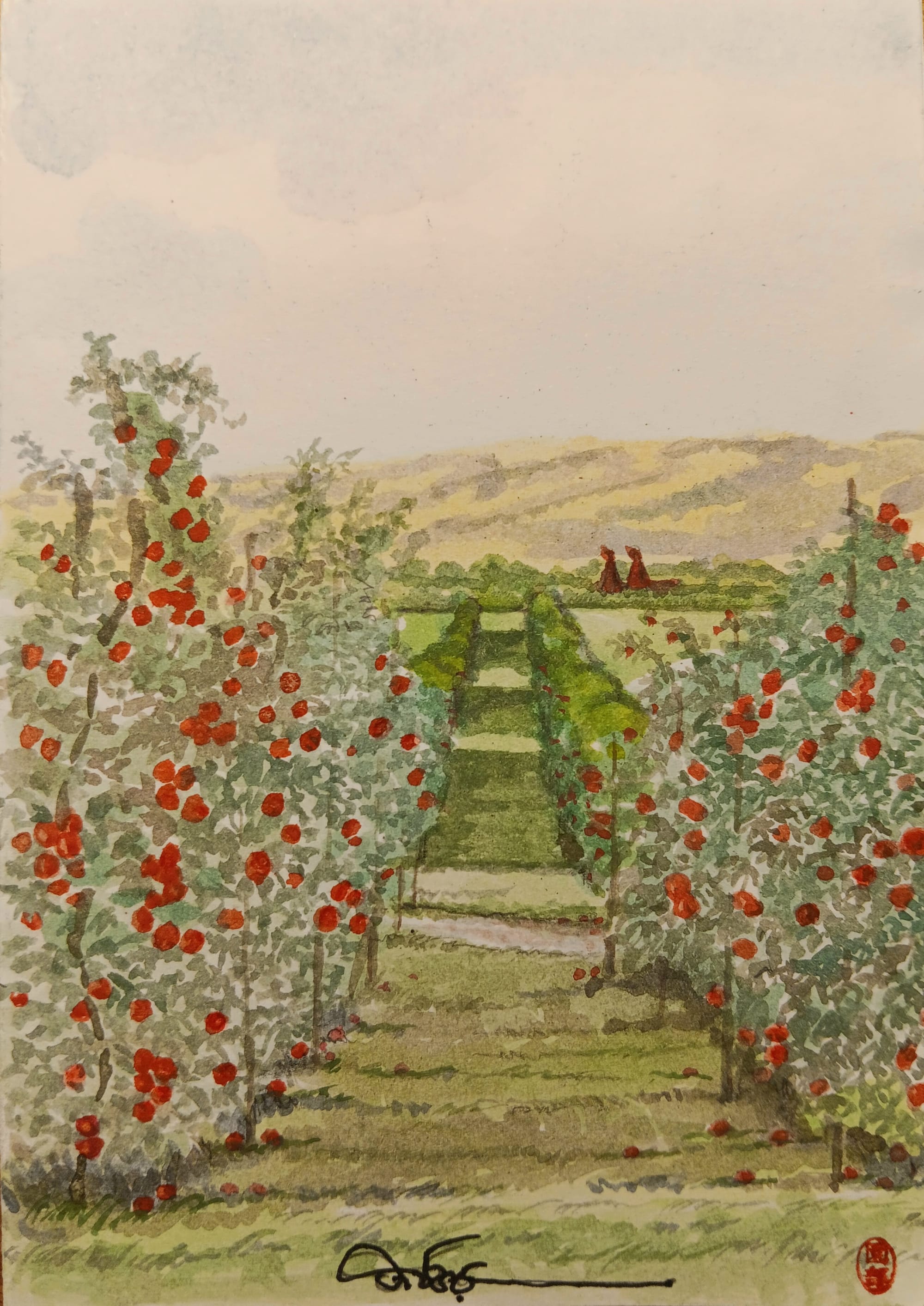 Orchard