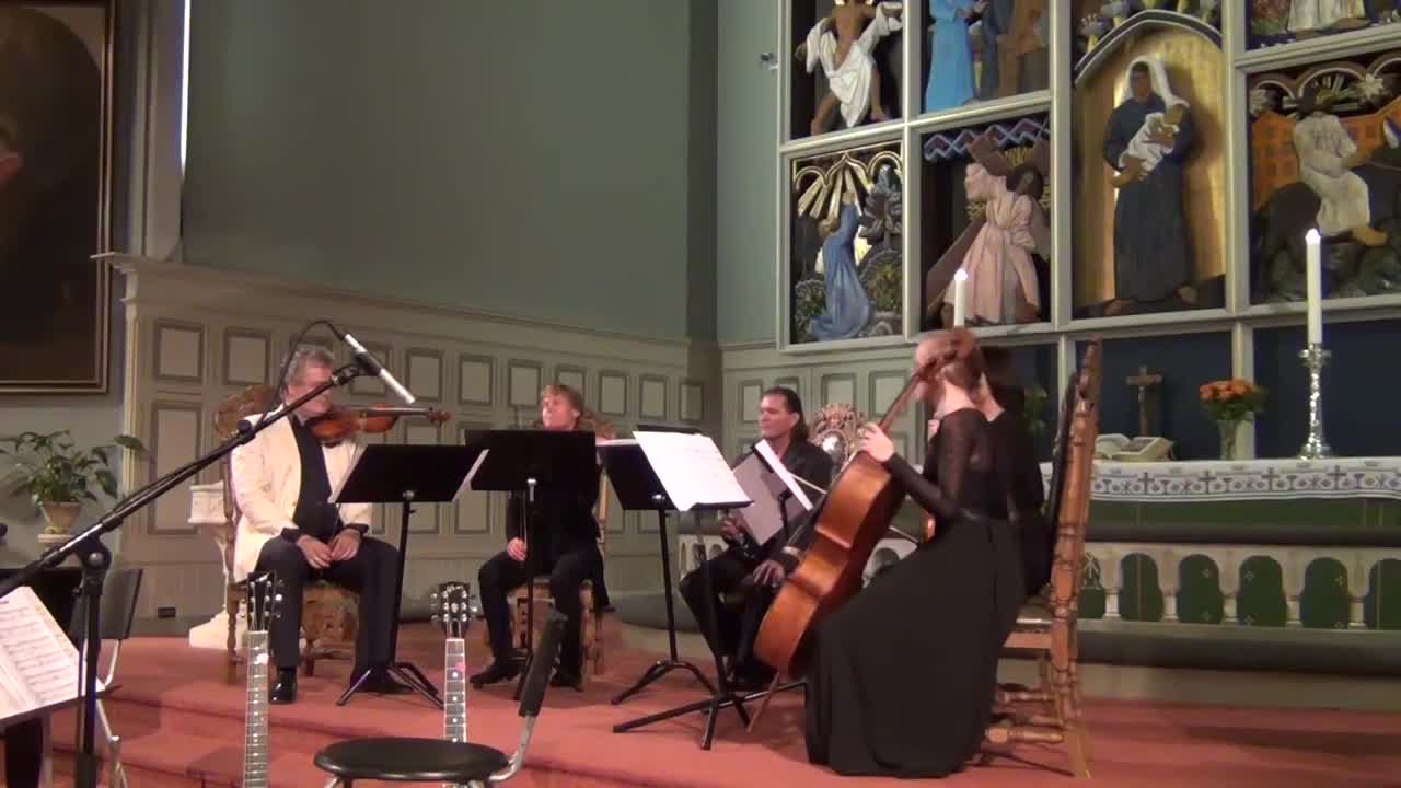 Vigulf - Birds never stop Singing