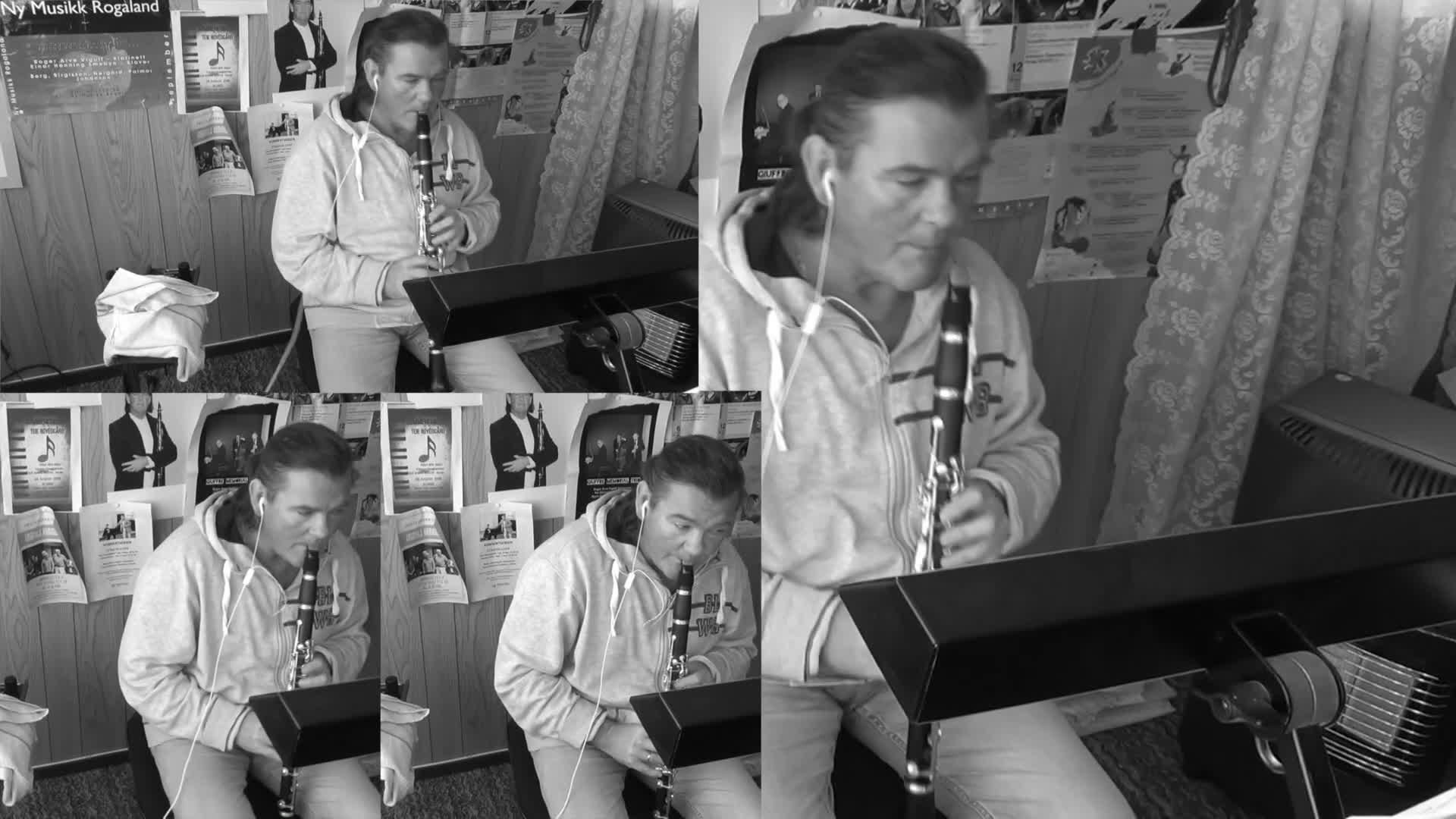 Vigulf - 4 Black Snakes