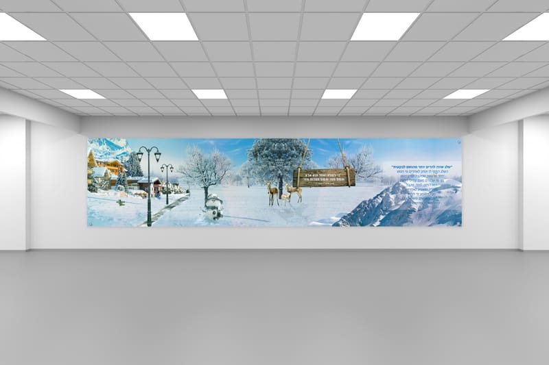 עיצובים שונים