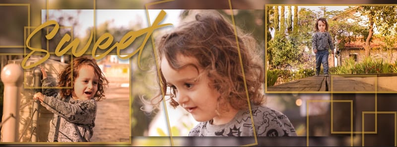 אלבומים דיגיטלים