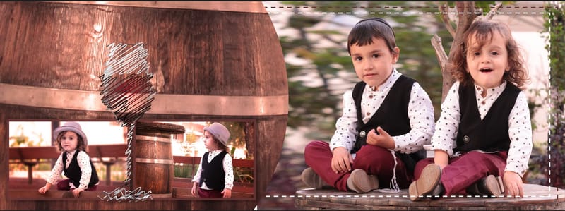 אלבומים דיגיטלים