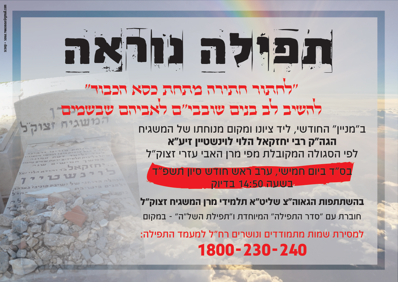 עיצובים שונים