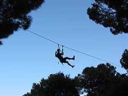 CIRCUITS D'AVENTURA PELS ARBRES