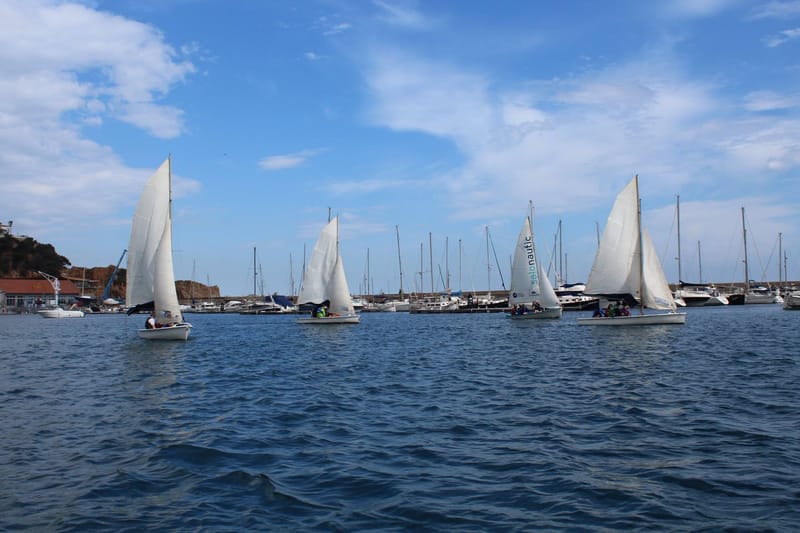 Escoles i universitats