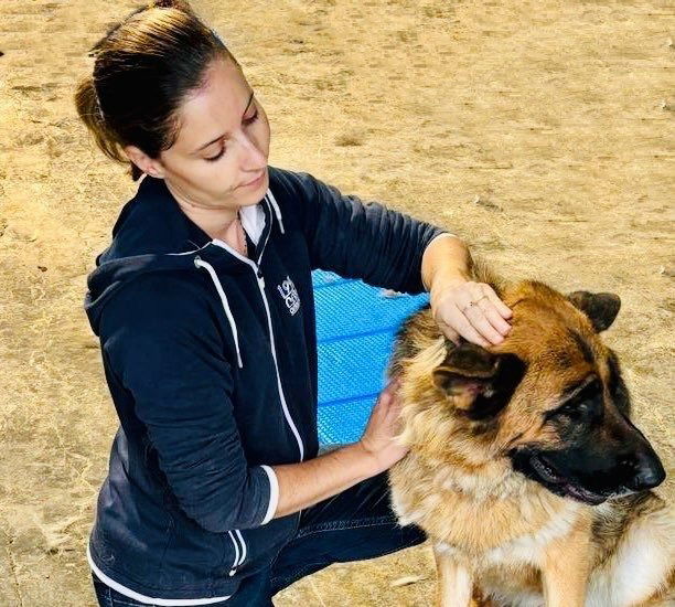 Massages canins à domicile