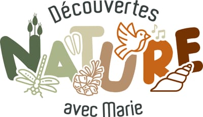 Découvertes nature avec Marie