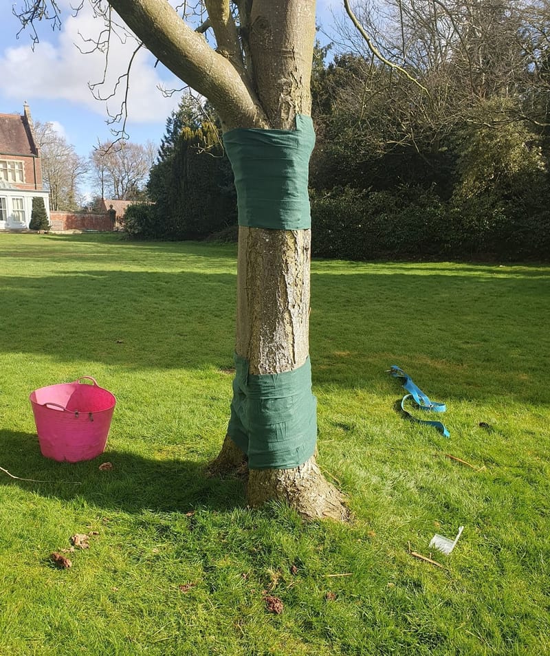 Seasonal preparation