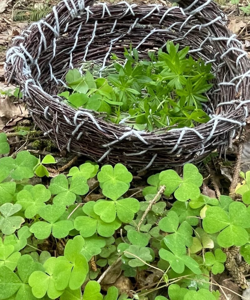 PRIVATE VERANSTALTUNGEN &amp; EVENTS