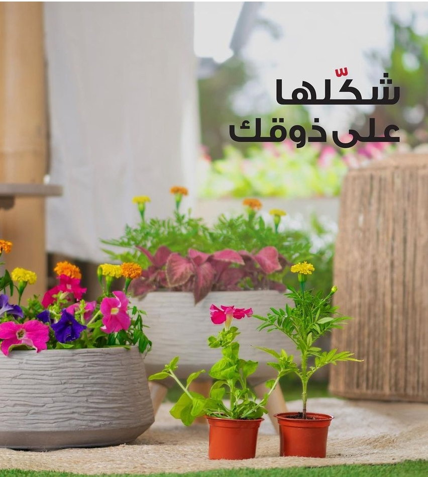 يوجد لدينا جميع انواع الشتلات النباتية 