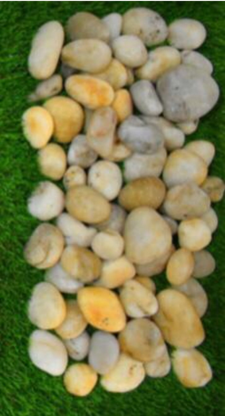بحص
