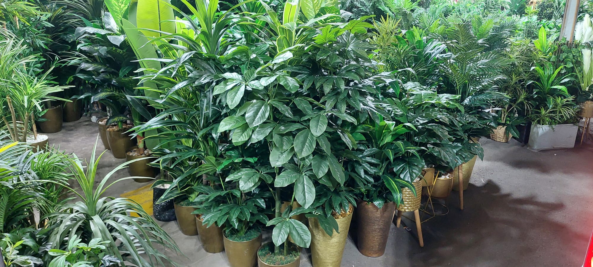 يوجد لدينا جميع انواع الاشجار الصناعي 