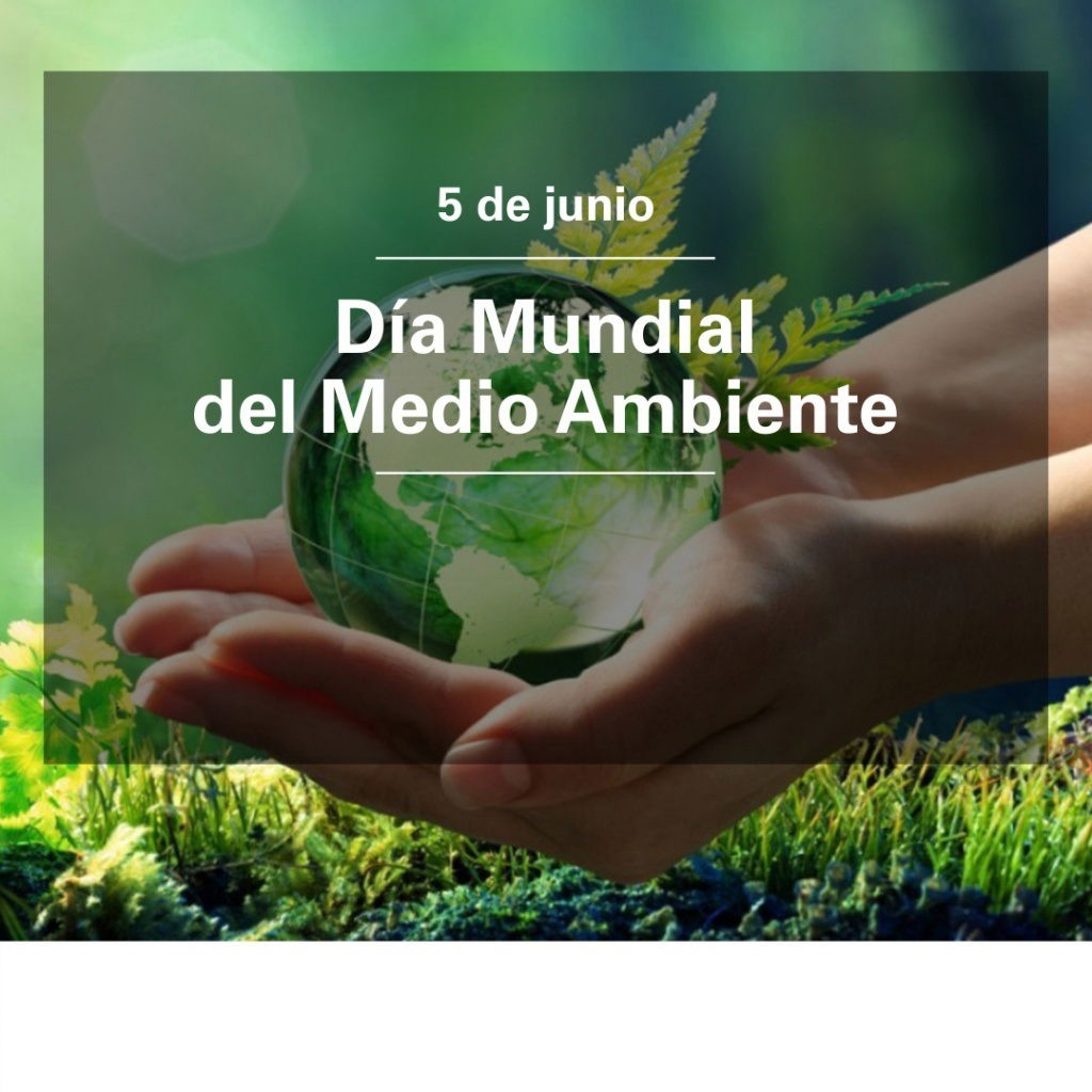 5 de Junio