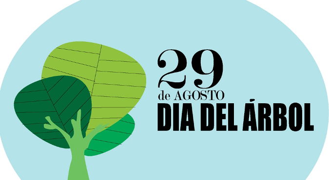 29 de Agosto