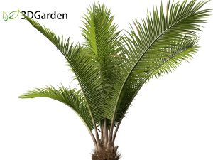 3Ds max Plants 3D Models Free download