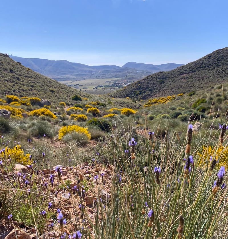 Cabo De Gata Natural Park