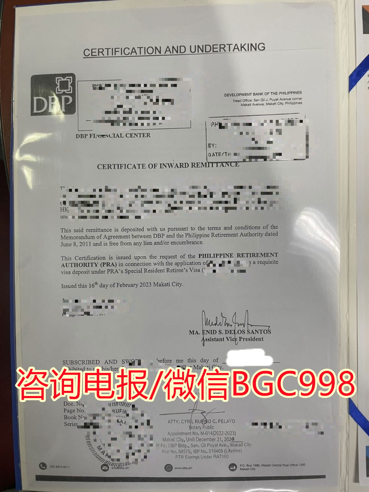 菲律宾长期签证样本