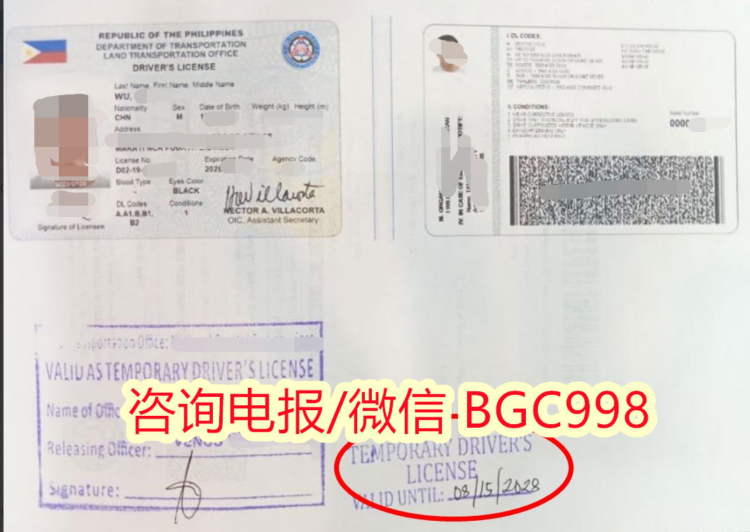驾照更新