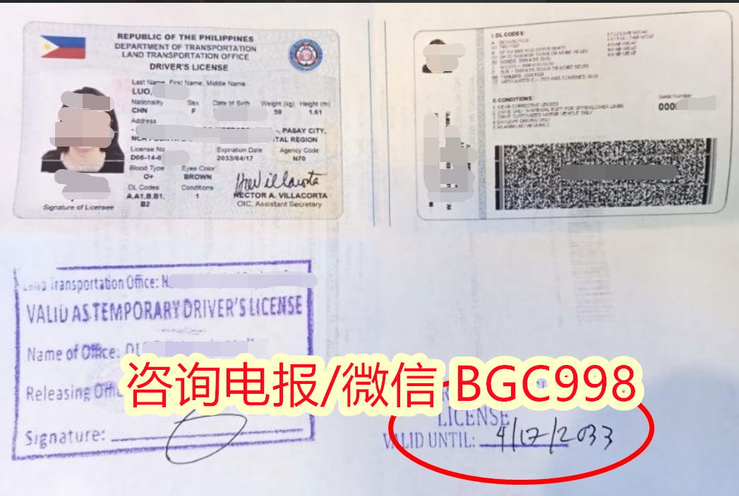 驾照更新