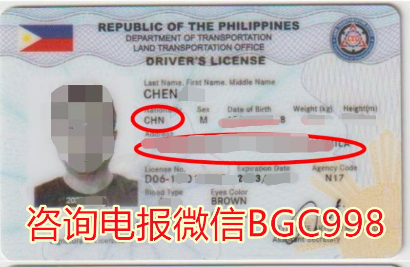 驾驶证更新