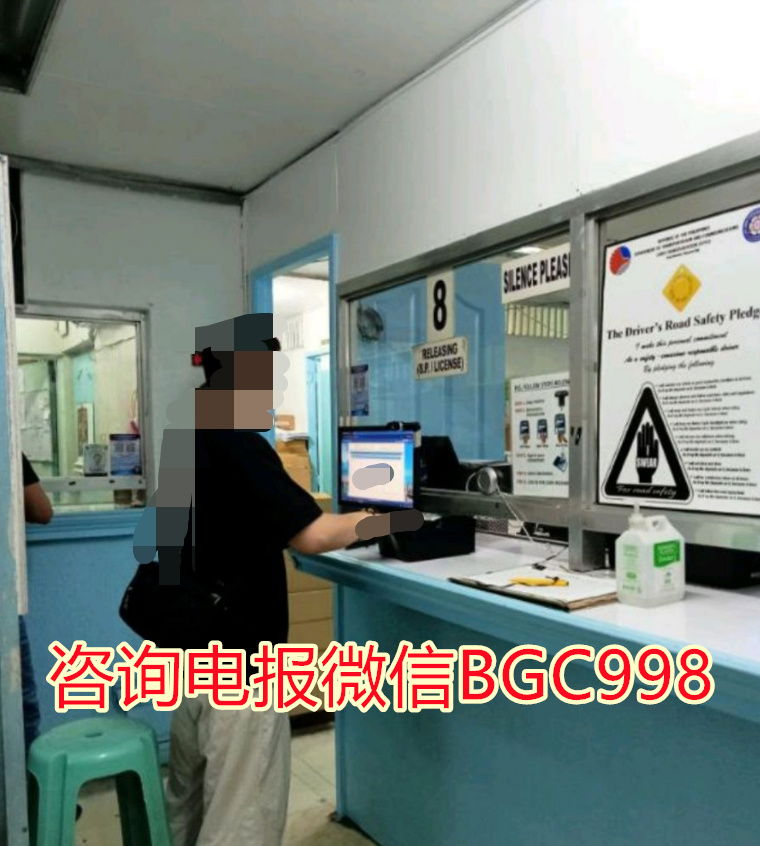 菲律宾LTO注册