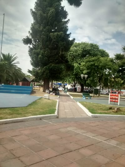 Documental  image