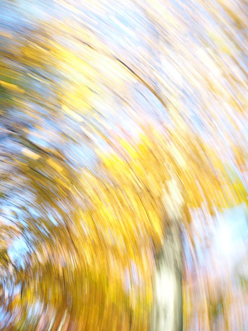 Autumn Glow / Herbstleuchten
