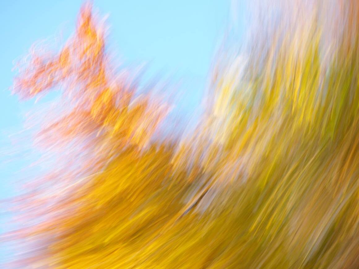 Fire of Autumn / Herbstfeuer