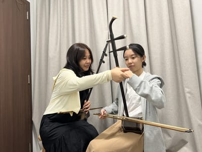 A Beginner's Guide to Selecting Your First Erhu