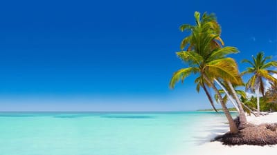 Conoce Las Nueves (9) Playas de Bavaro Punta Cana