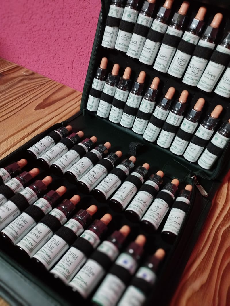 Original Bachblüten Therapie nach Dr. Edward Bach