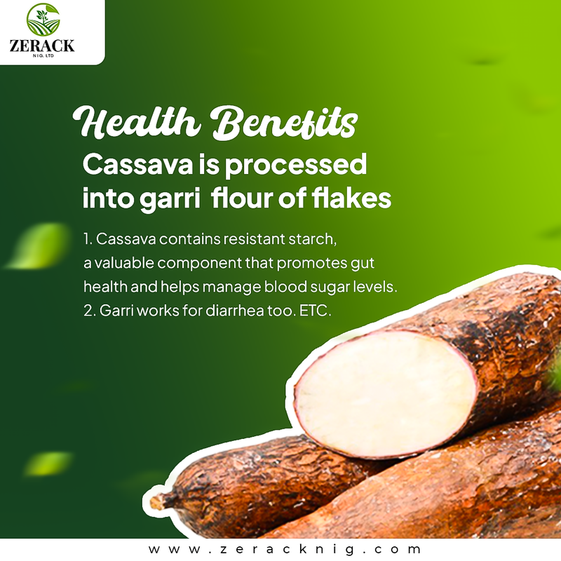 From Ground to Grain: The Making of Nigerian Garri at Zerack Nigeria Ltd