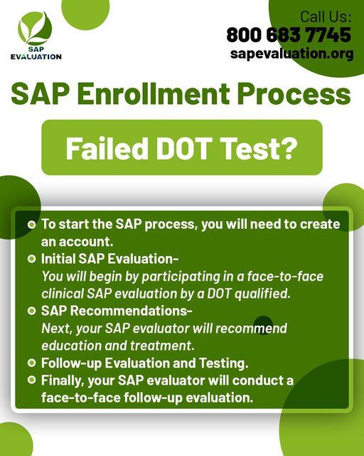 Understanding SAP Evaluation in Georgia: What You Need to Know