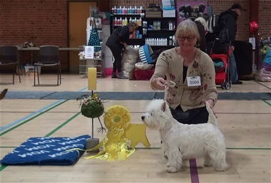 Mechat nataly Prominent