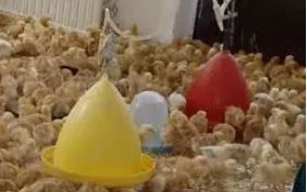 DELTA PISZTOLYSZELEPES ITATÓ