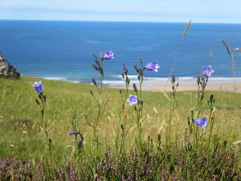 Torrisdale Beach