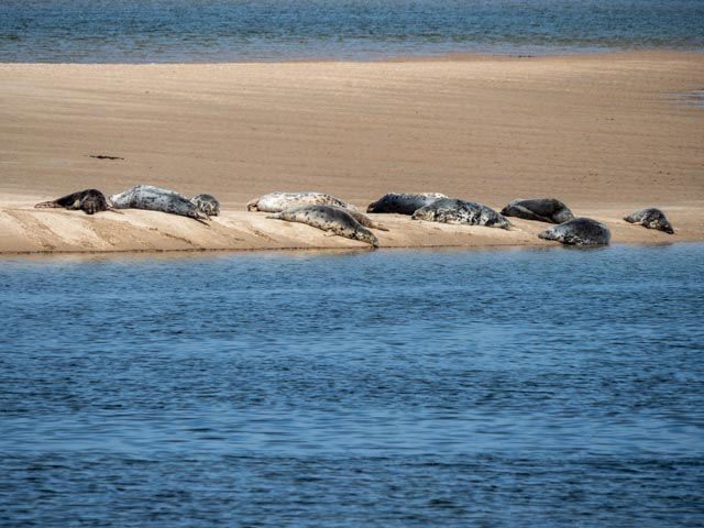 Loch Fleet