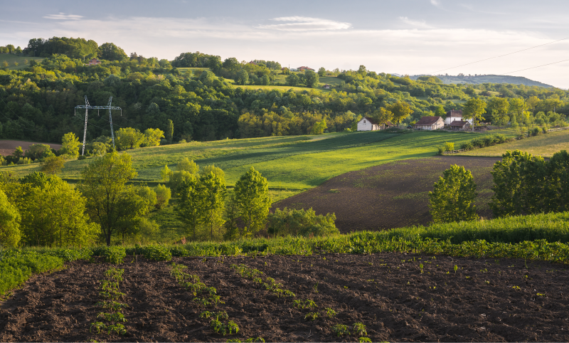 Certificado De Cadastro De Imóvel Rural - CCIR