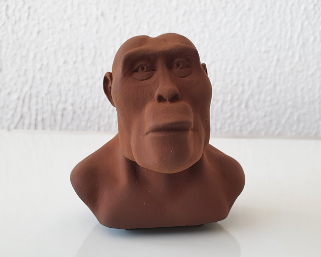 Engenharia reversa de Ominídeos para replicar em escala maior