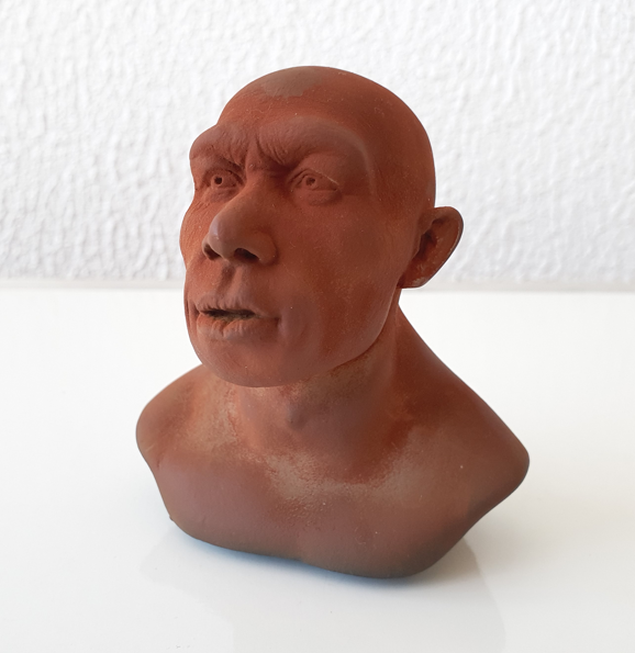 Engenharia reversa de Ominídeos para replicar em escala maior