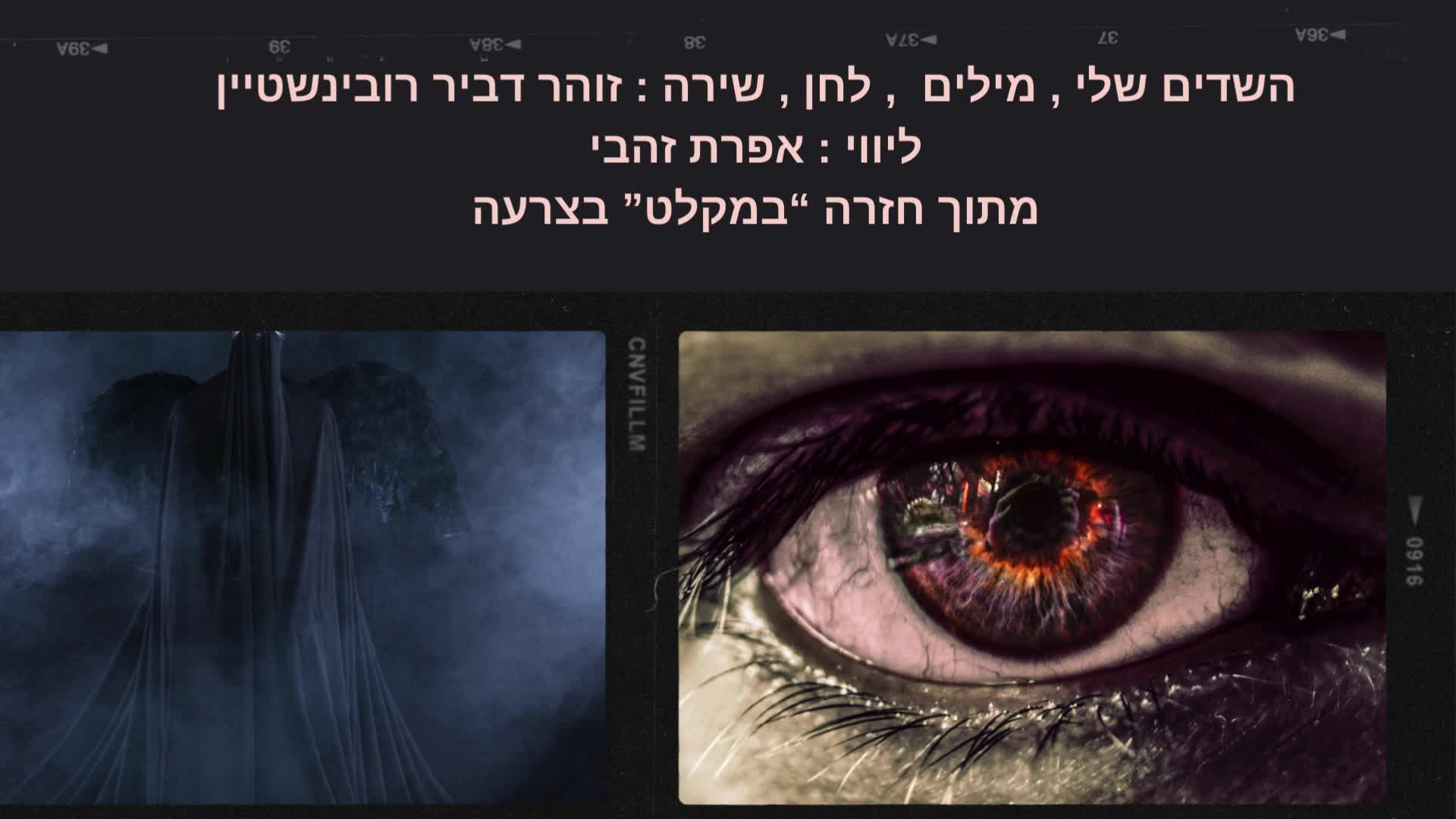 השדים שלי 