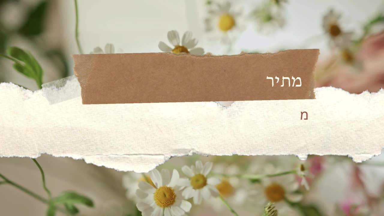 מתירה לעצמי 