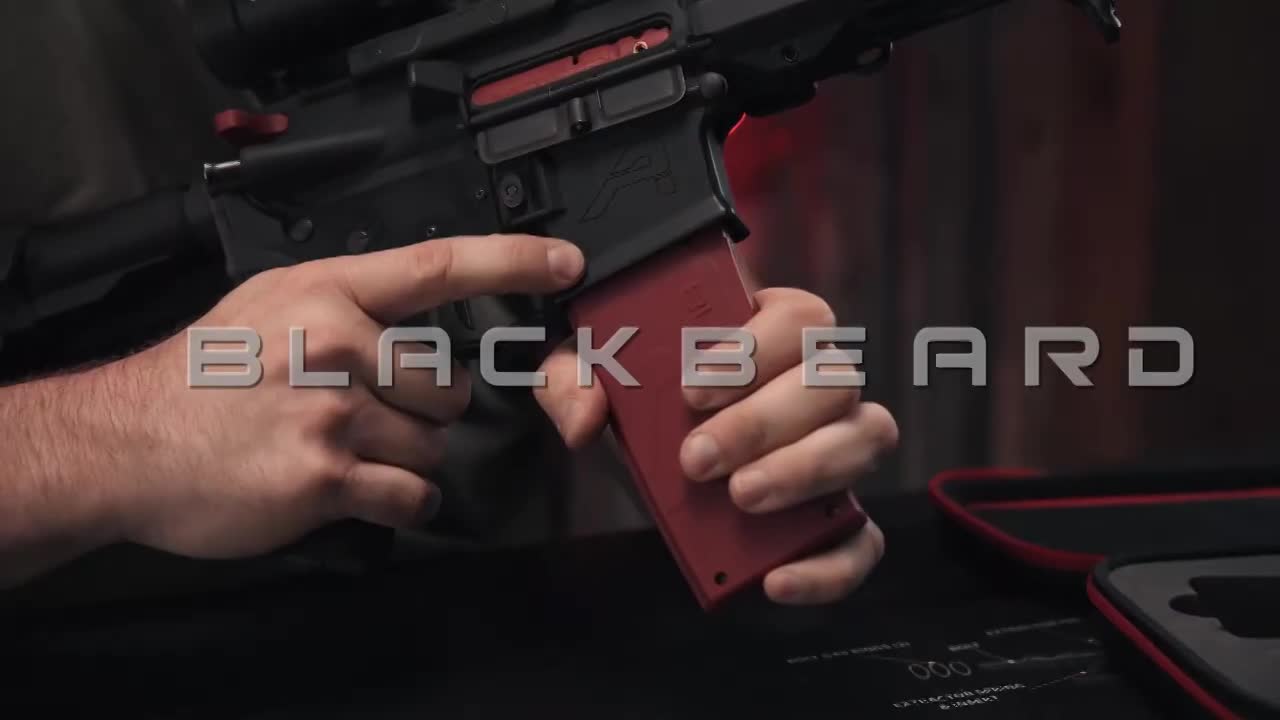 מערכת BlackBeardX