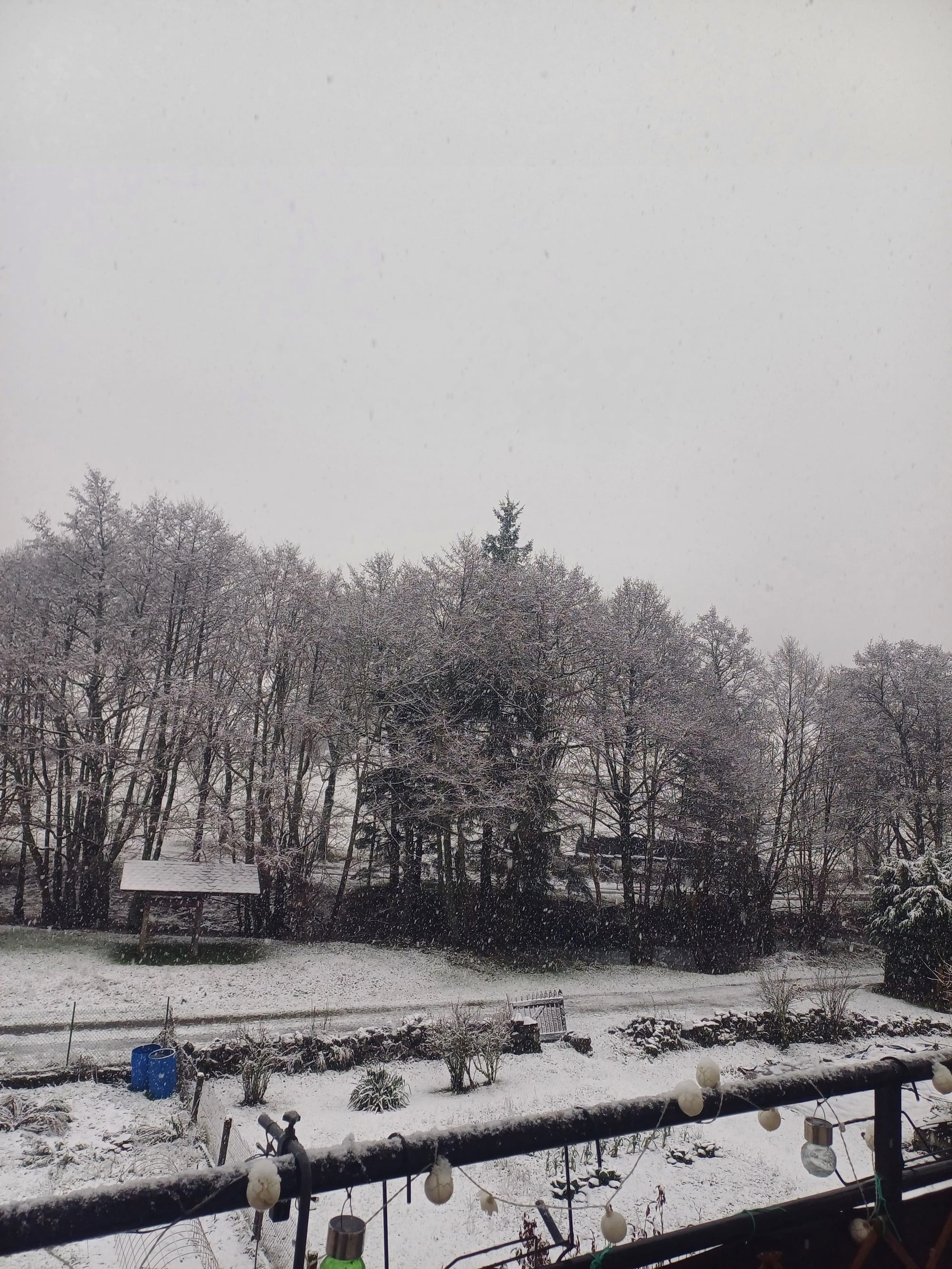 laveissiere