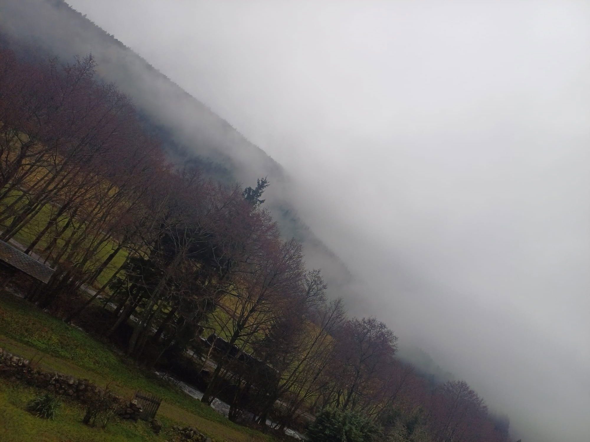 laveissiere