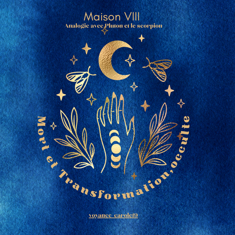 Maison VIII dans votre signe